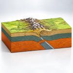 Deformation of The Earth Folds and Fault 3D Model